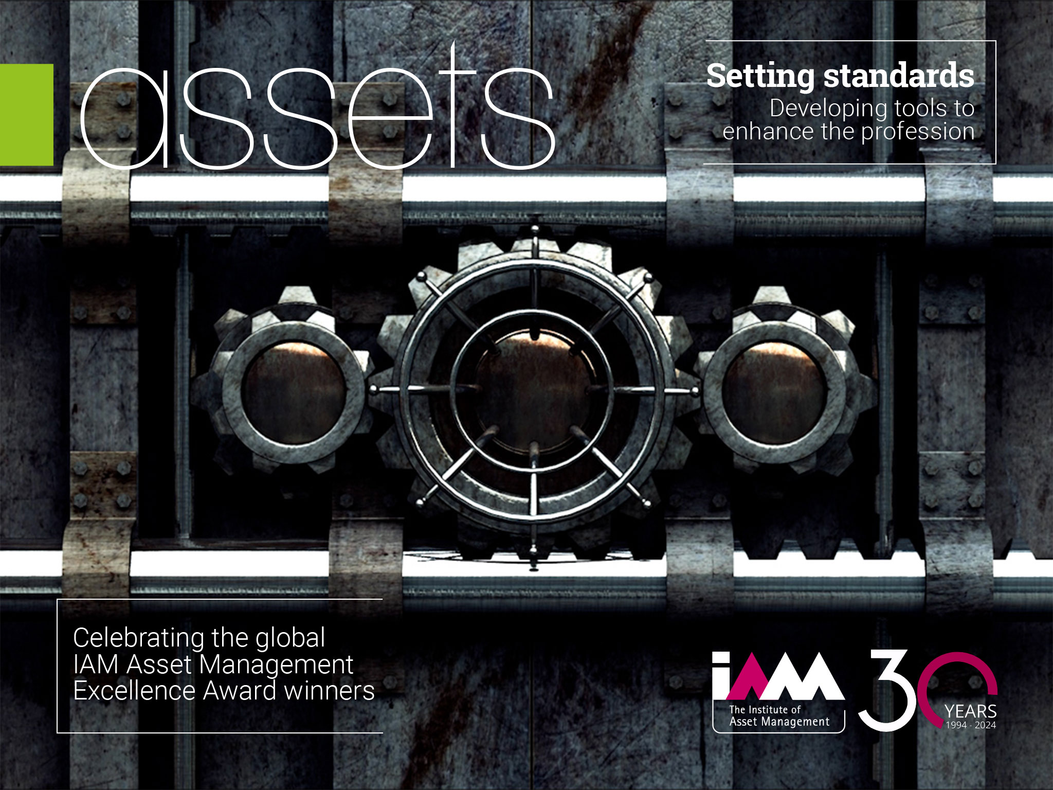 IAM Assets - January 2024