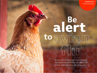 Avian influenza - TSBN