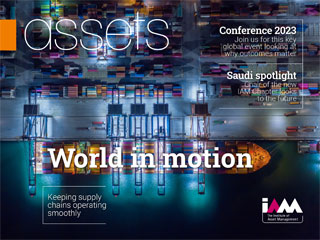 IAM Assets - April 2023