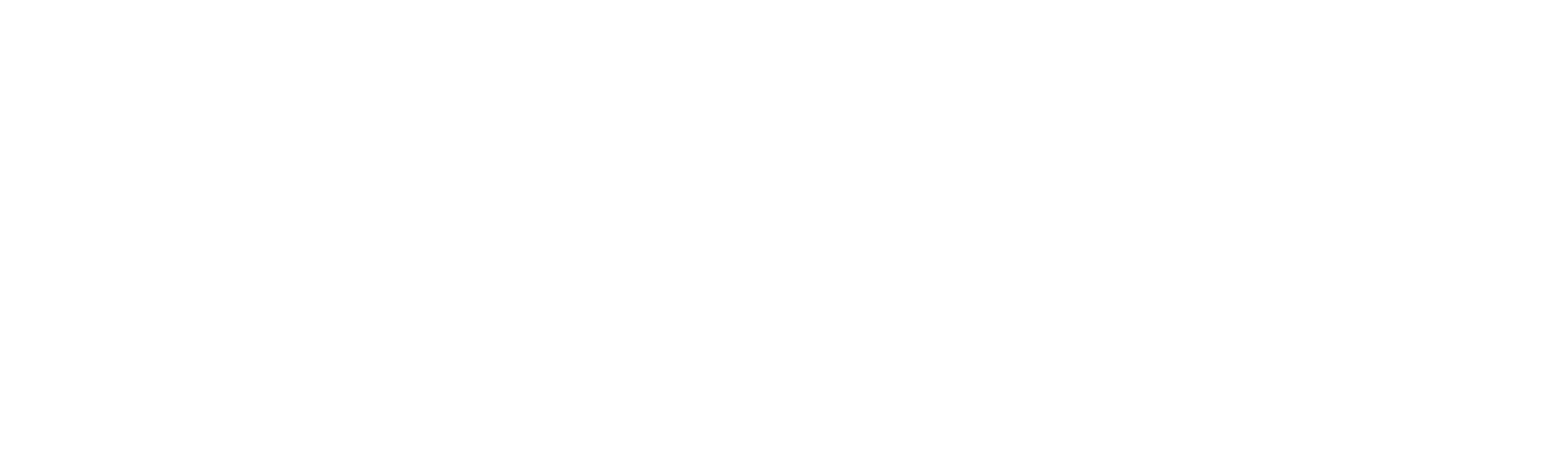 Andy Kirwan, from Network Rail, Jude Carey, from Irish Rail, and Rosa Casquero, from UIC, explain more about the WiSD...