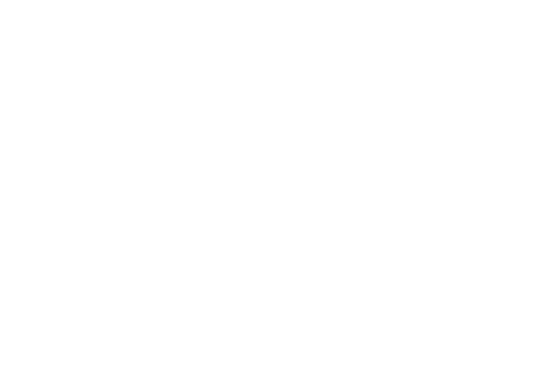 A Danish State Railways (DSB) train, built by Talgo