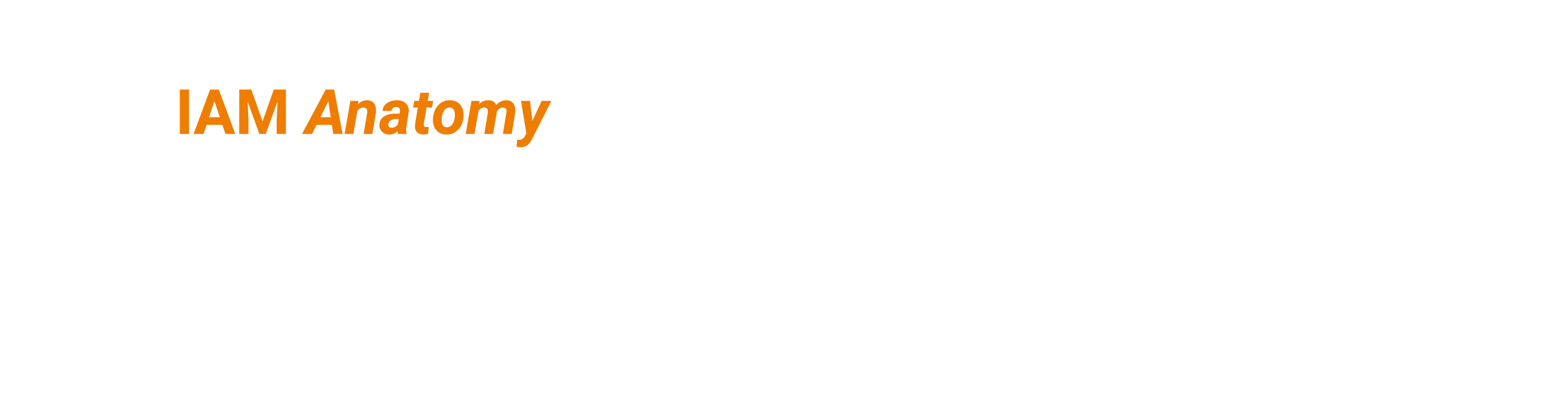 On 1 July 2024, the IAM released Version 4 of the IAM Anatomy. Here, CEO Ursula Bryan introduces the new edition
