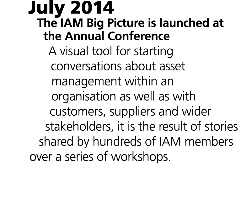 July 2014 The IAM Big Picture is launched at the Annual Conference A visual tool for starting conversations about ass...