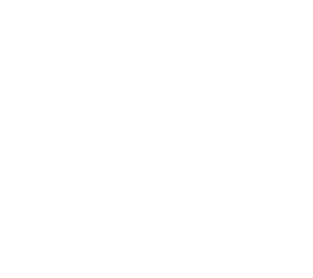 2023 saw a record number of more than 500 volunteers contribute to IAM activities and projects